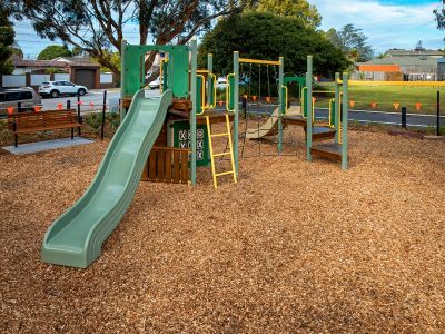 ​Pinewood Reserve playspace slide