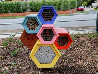 ​Pinewood Reserve playspace insect hotel
